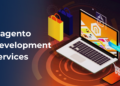 How Do Affordable Magento Developers in Delhi Help Startups Build ...