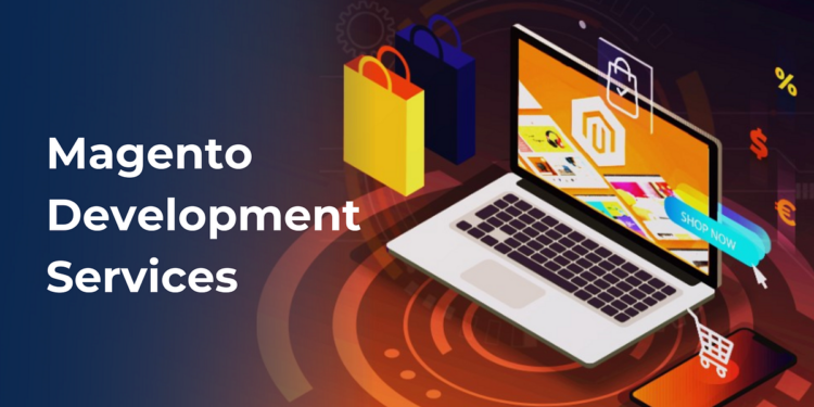 How Do Affordable Magento Developers in Delhi Help Startups Build ...