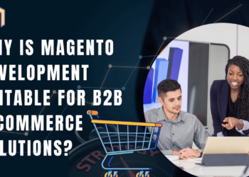 Magento Development For Scalable B2B E-commerce Success