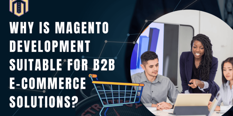 Magento Development For Scalable B2B E-commerce Success